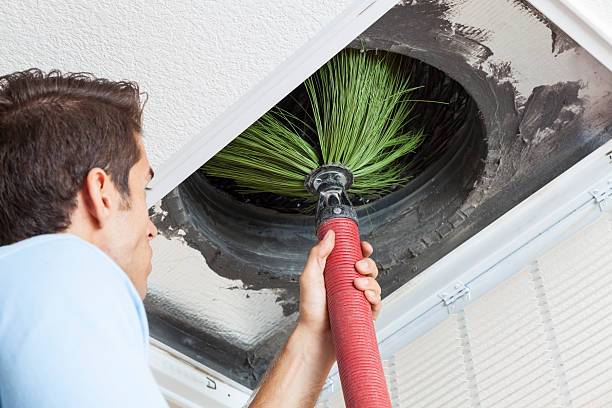 Best Affordable Duct Cleaning Services  in Elmwood Park, NJ